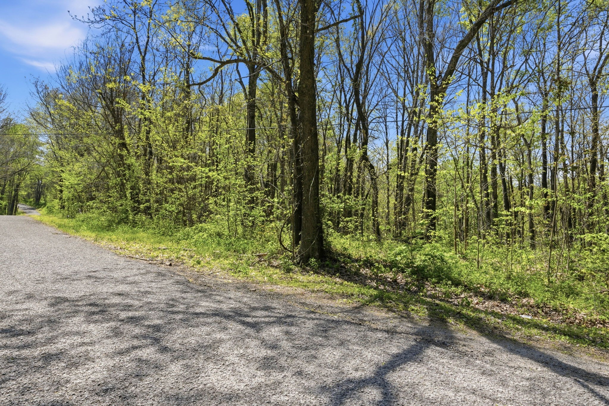 0 Green Road Beechgrove TN 37018