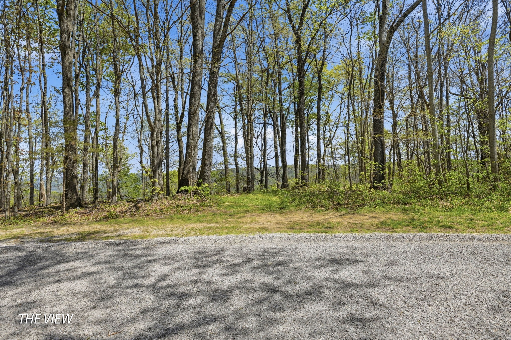 0 Green Road Beechgrove TN 37018