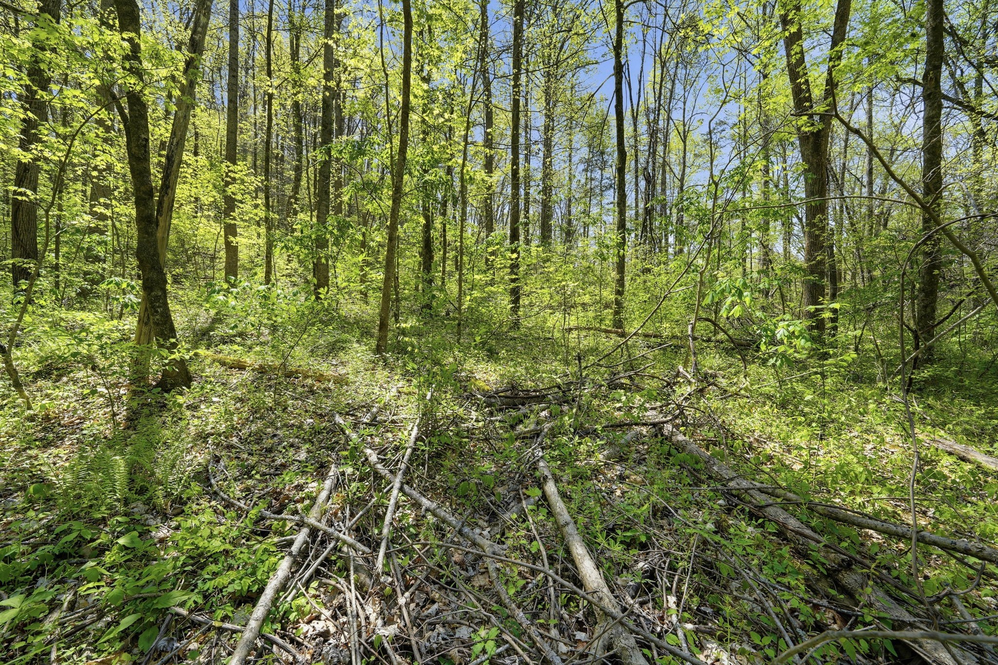 0 Green Road Beechgrove TN 37018