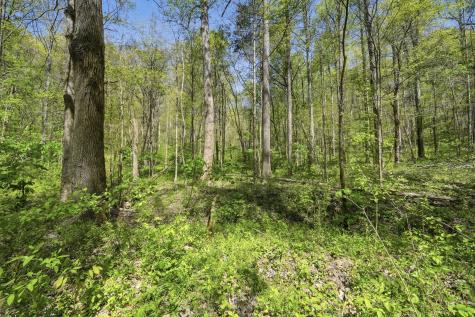 0 Green Road Beechgrove TN 37018