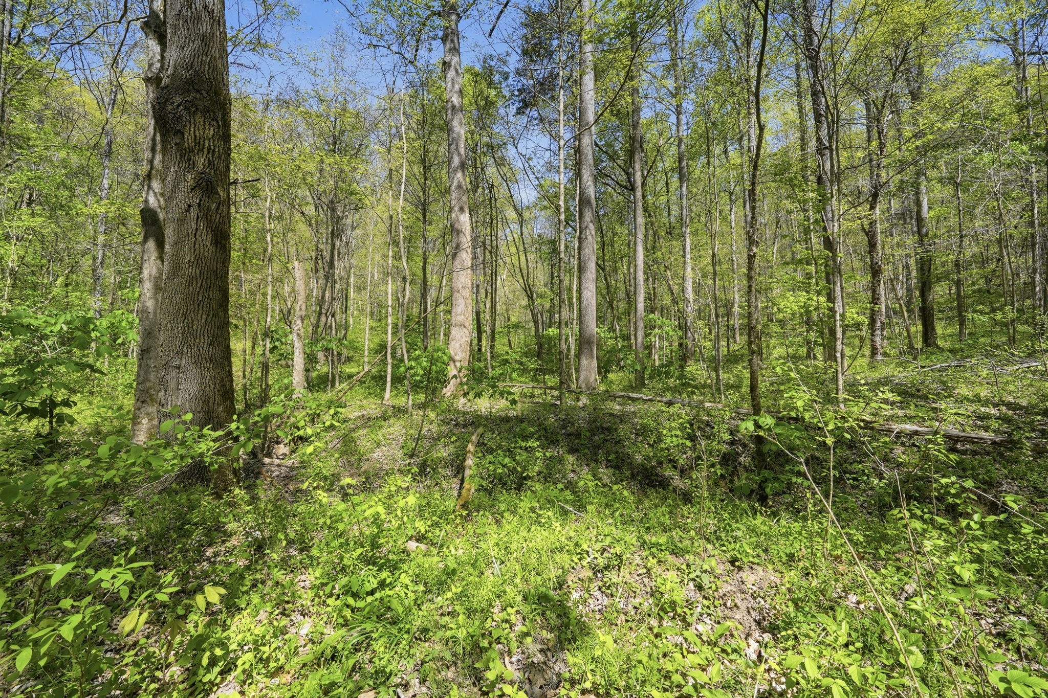 0 Green Road Beechgrove TN 37018