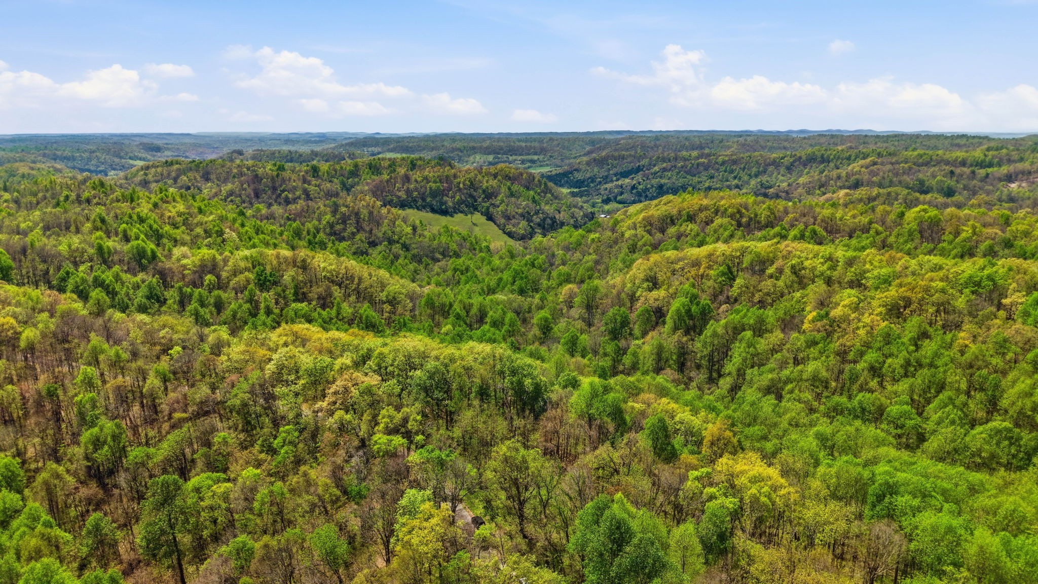 0 Green Road Beechgrove TN 37018