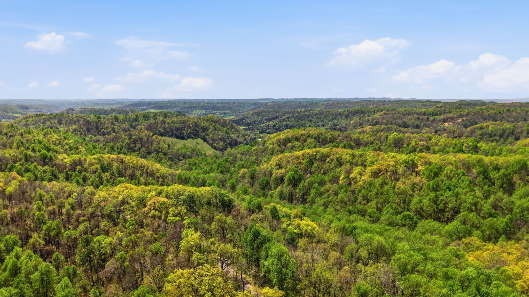 0 Green Road Beechgrove TN 37018