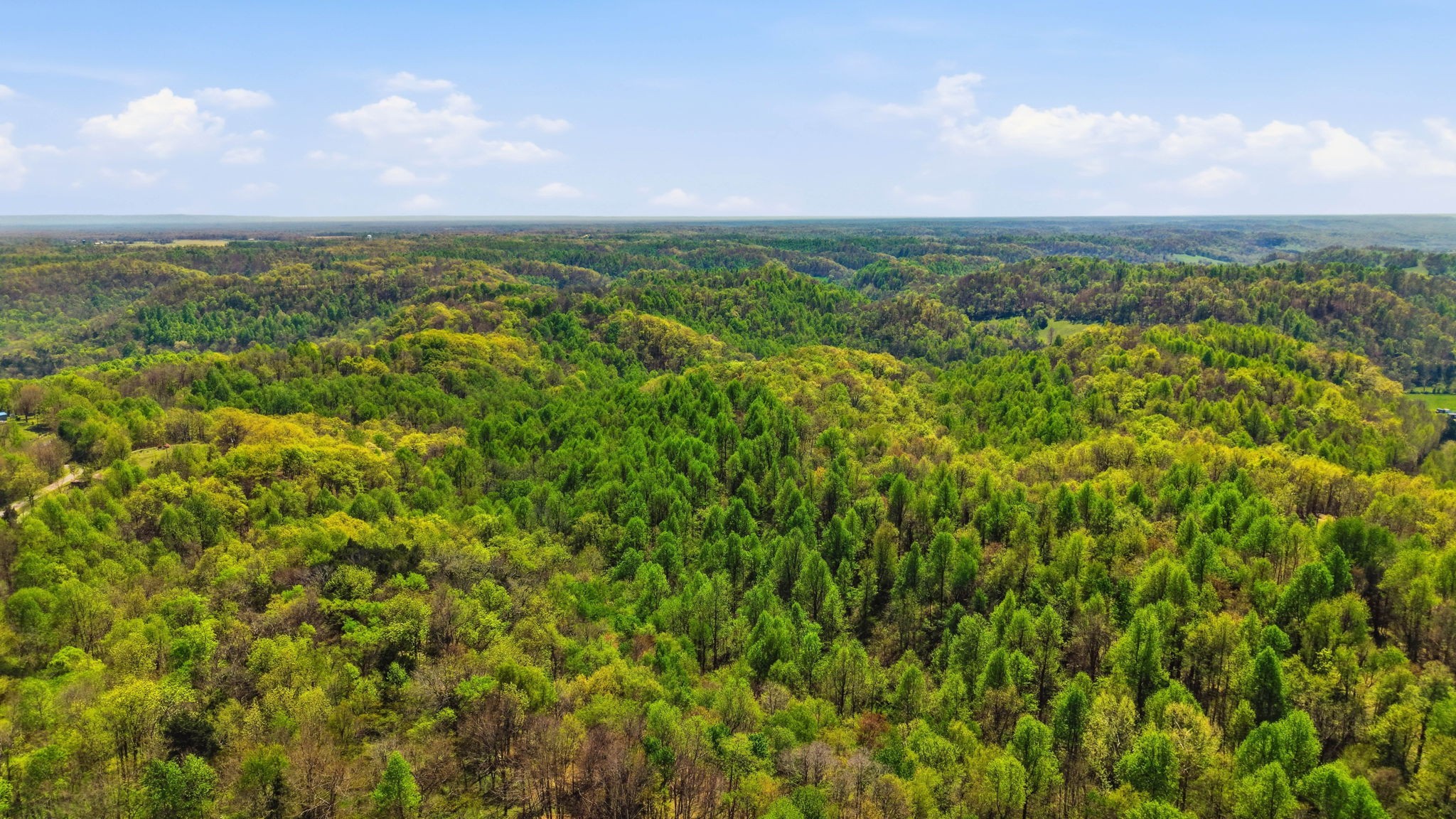 0 Green Road Beechgrove TN 37018