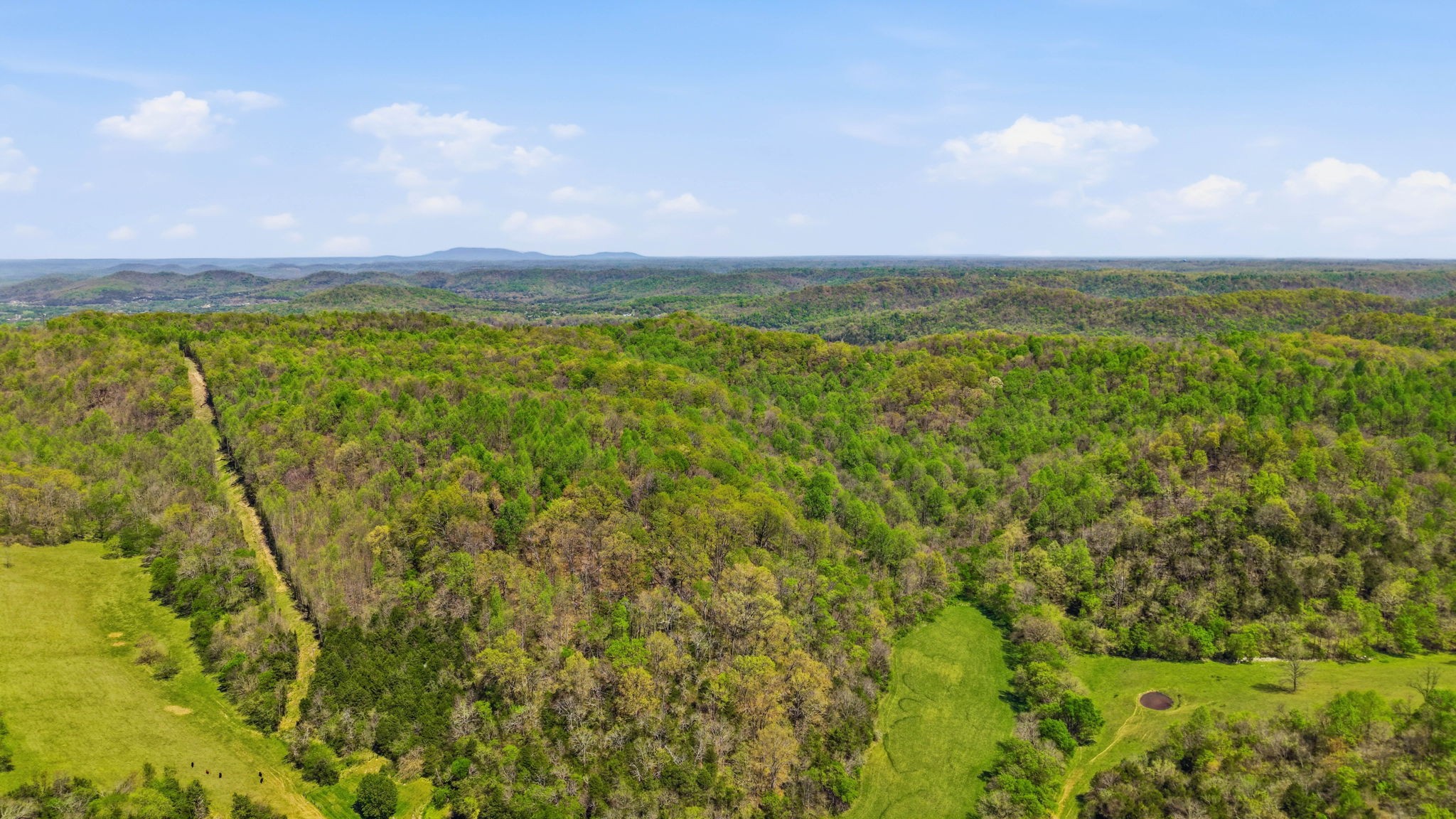 0 Green Road Beechgrove TN 37018