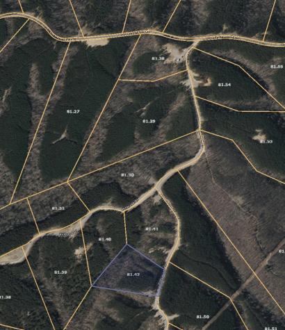 252 Streamside Drive Linden TN 37096