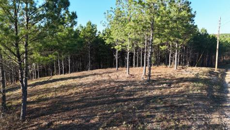 252 Streamside Drive Linden TN 37096