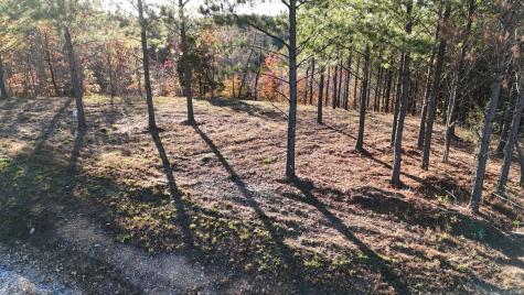 252 Streamside Drive Linden TN 37096