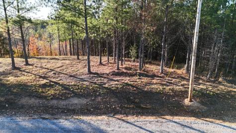 252 Streamside Drive Linden TN 37096