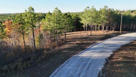 252 Streamside Drive Linden TN 37096