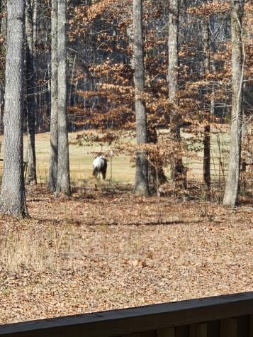 15 Nature Ridge Road Tullahoma TN 37388