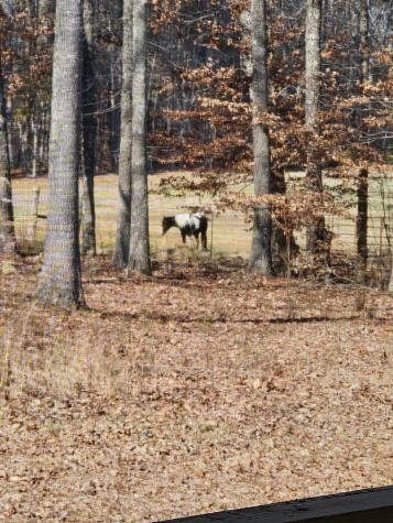 15 Nature Ridge Road Tullahoma TN 37388