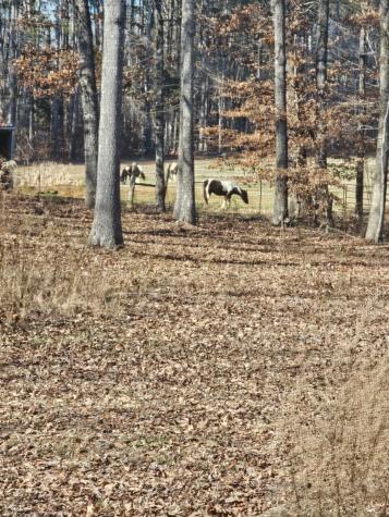 15 Nature Ridge Road Tullahoma TN 37388