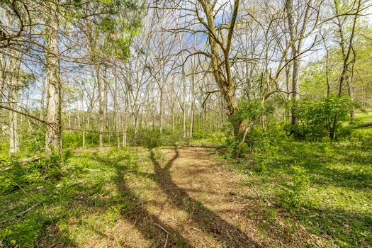 3180 Boxley Valley Road Franklin TN 37064