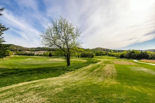 3180 Boxley Valley Road Franklin TN 37064