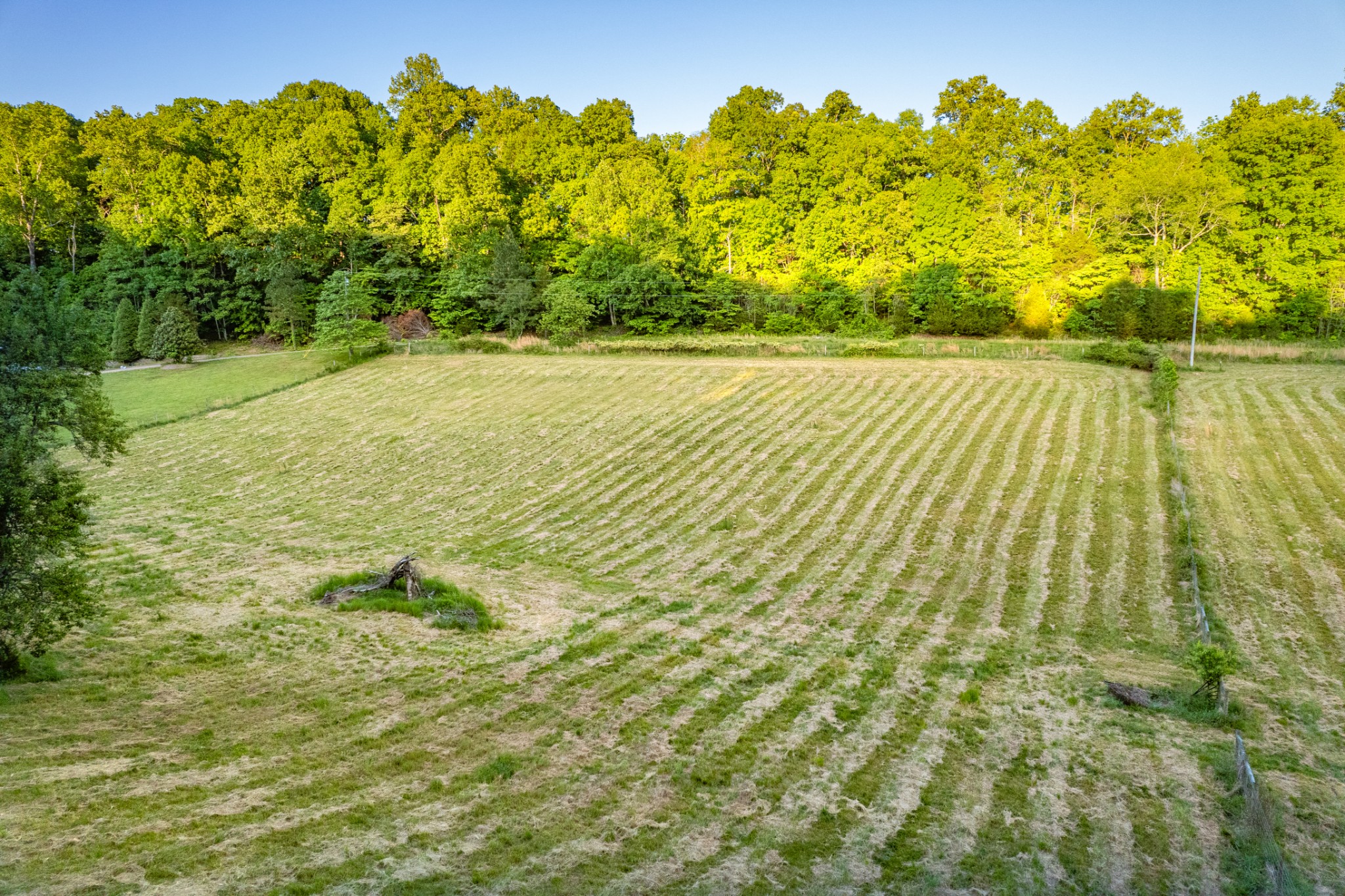 6A Young Road Pulaski TN 38478