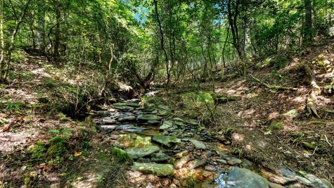 67 Winding Creek Way Altamont TN 37301