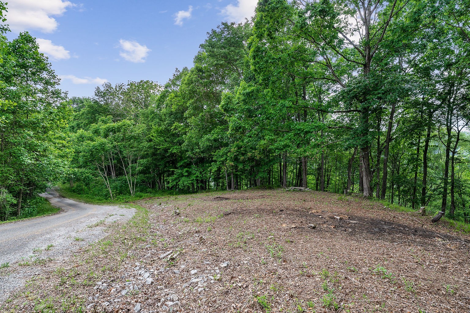 19 Summer Breeze Drive Smithville TN 37166