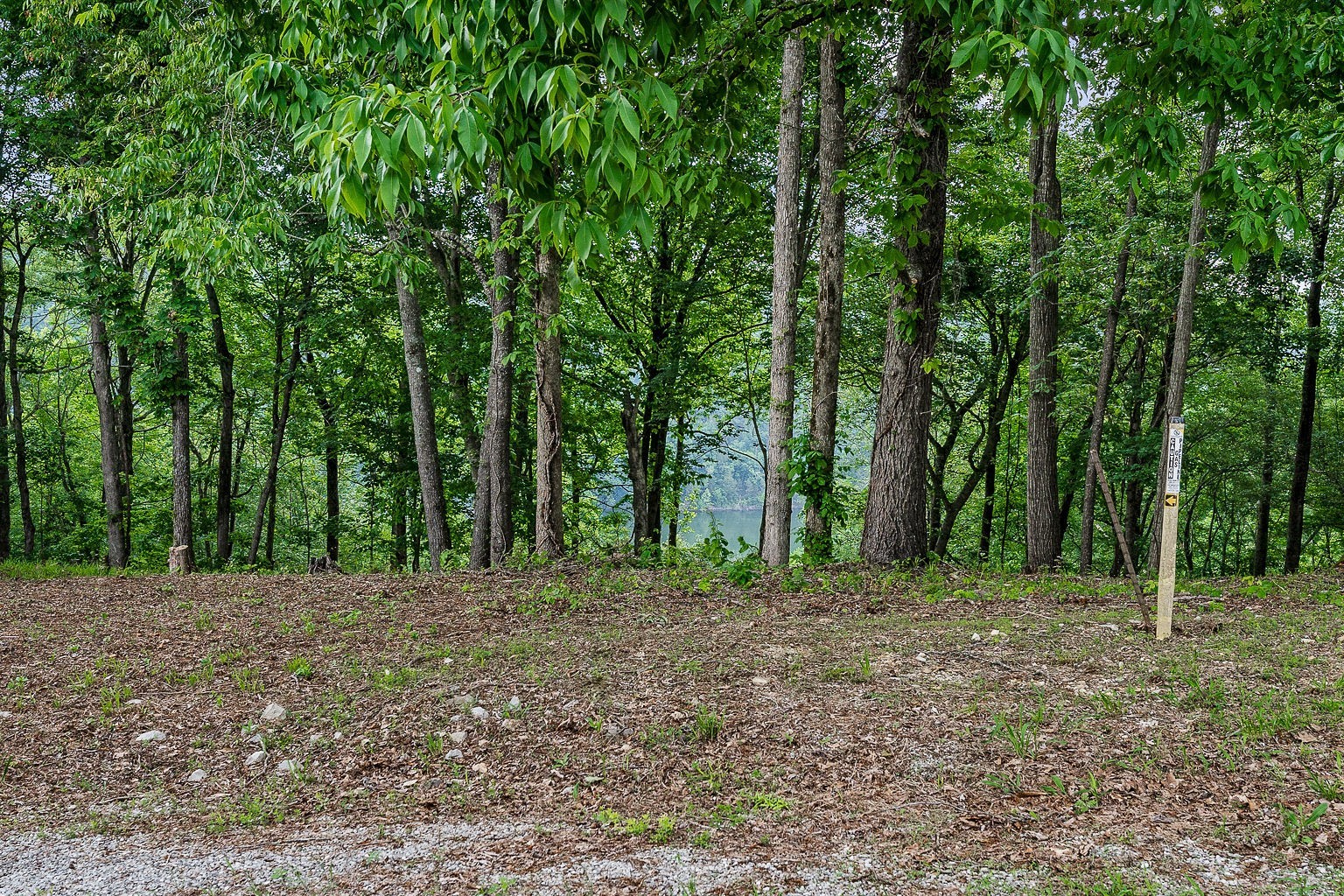 19 Summer Breeze Drive Smithville TN 37166