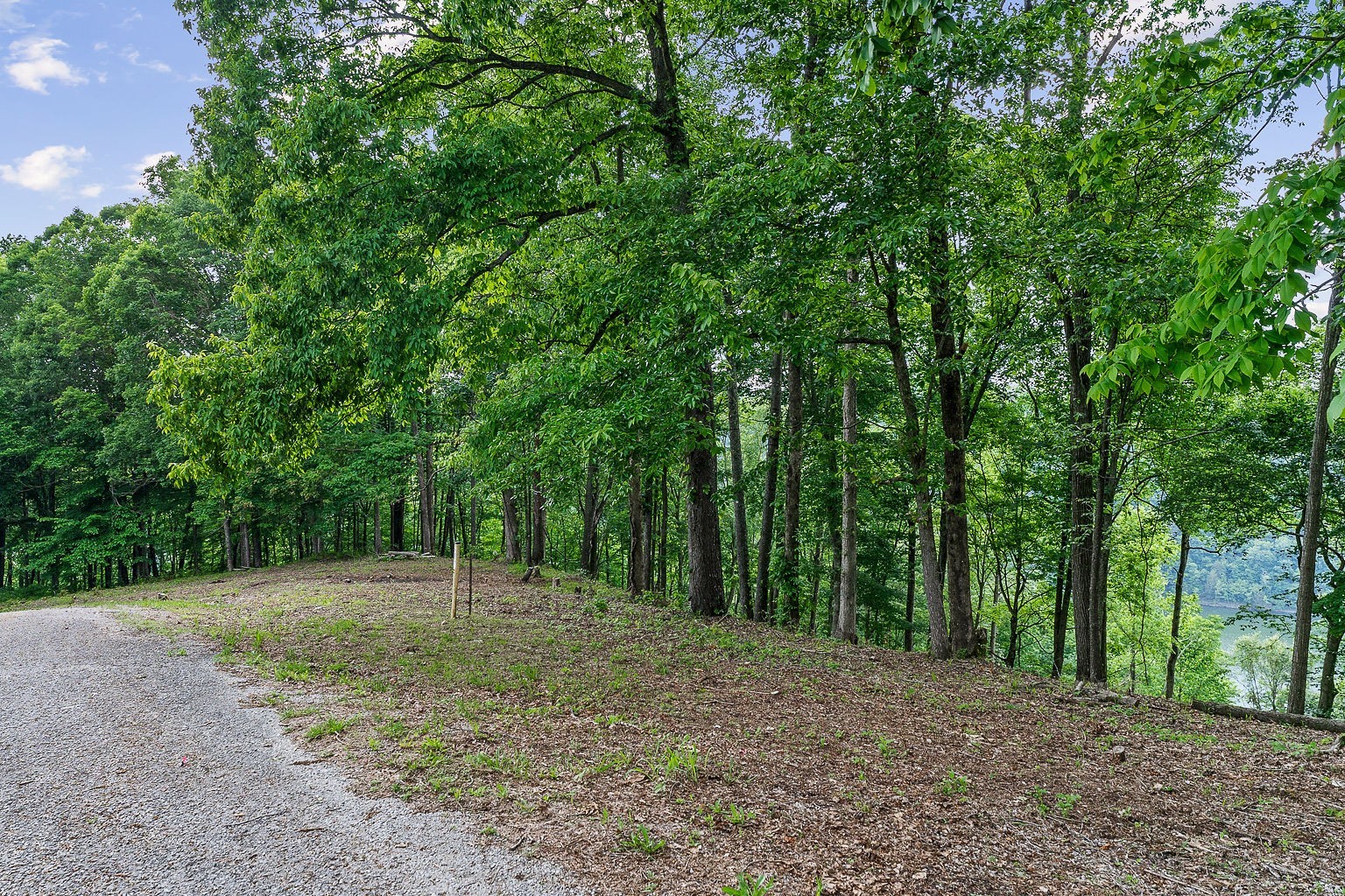 19 Summer Breeze Drive Smithville TN 37166