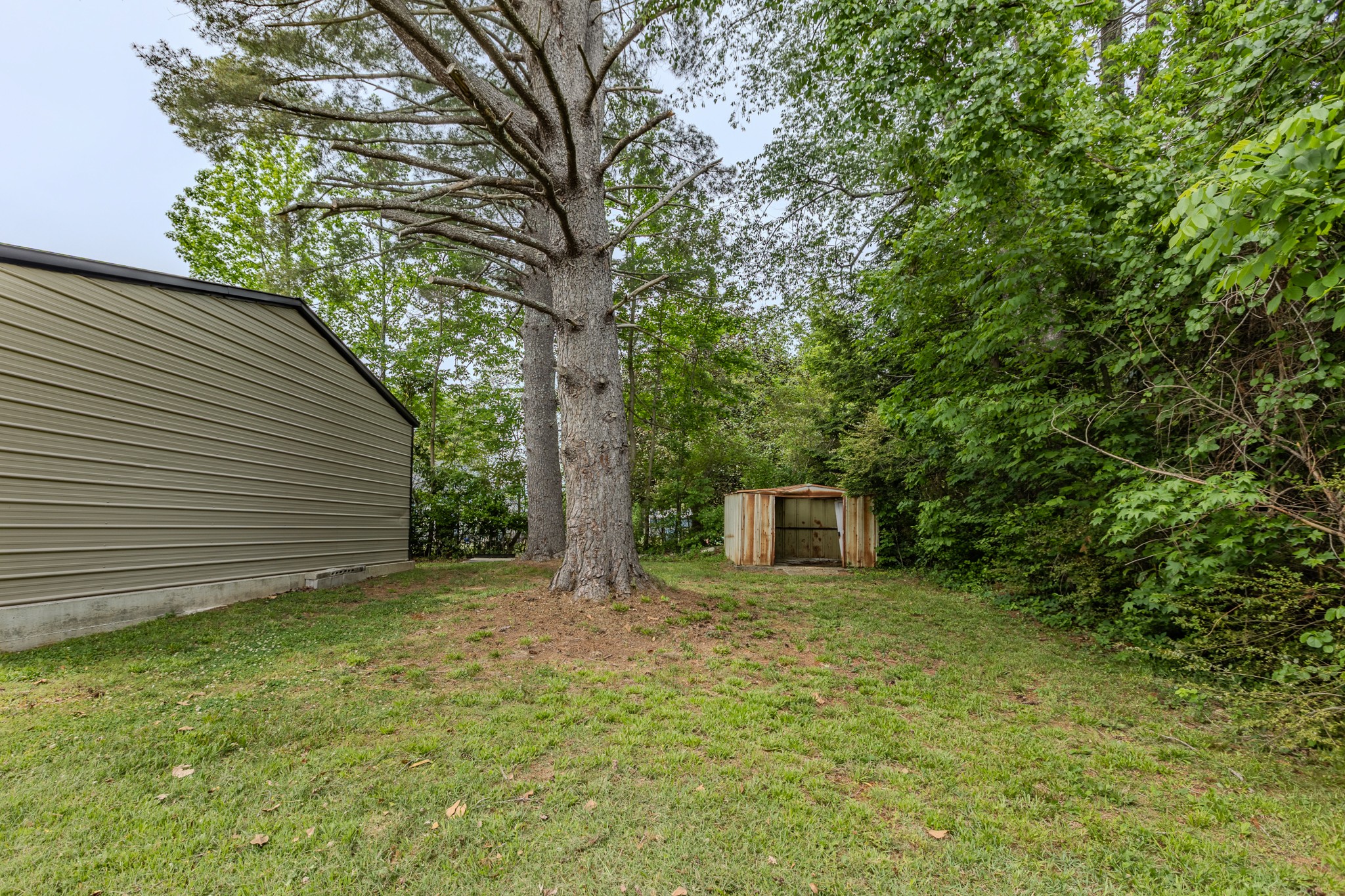 104 Ben Lomond Drive Mcminnville TN 37110
