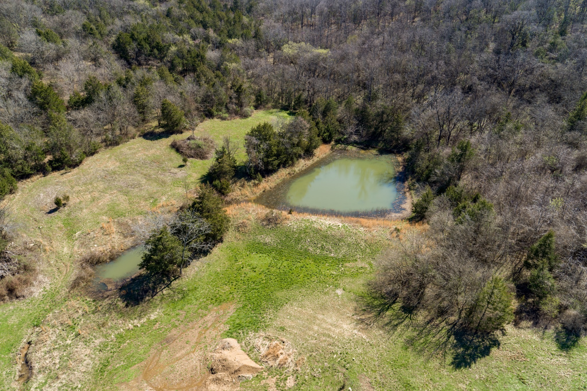 6876 Giles Hill Road College Grove TN 37046