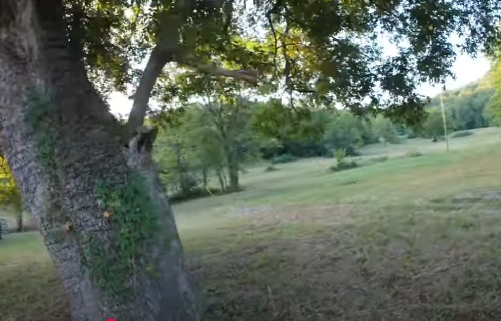 6876 Giles Hill Road College Grove TN 37046