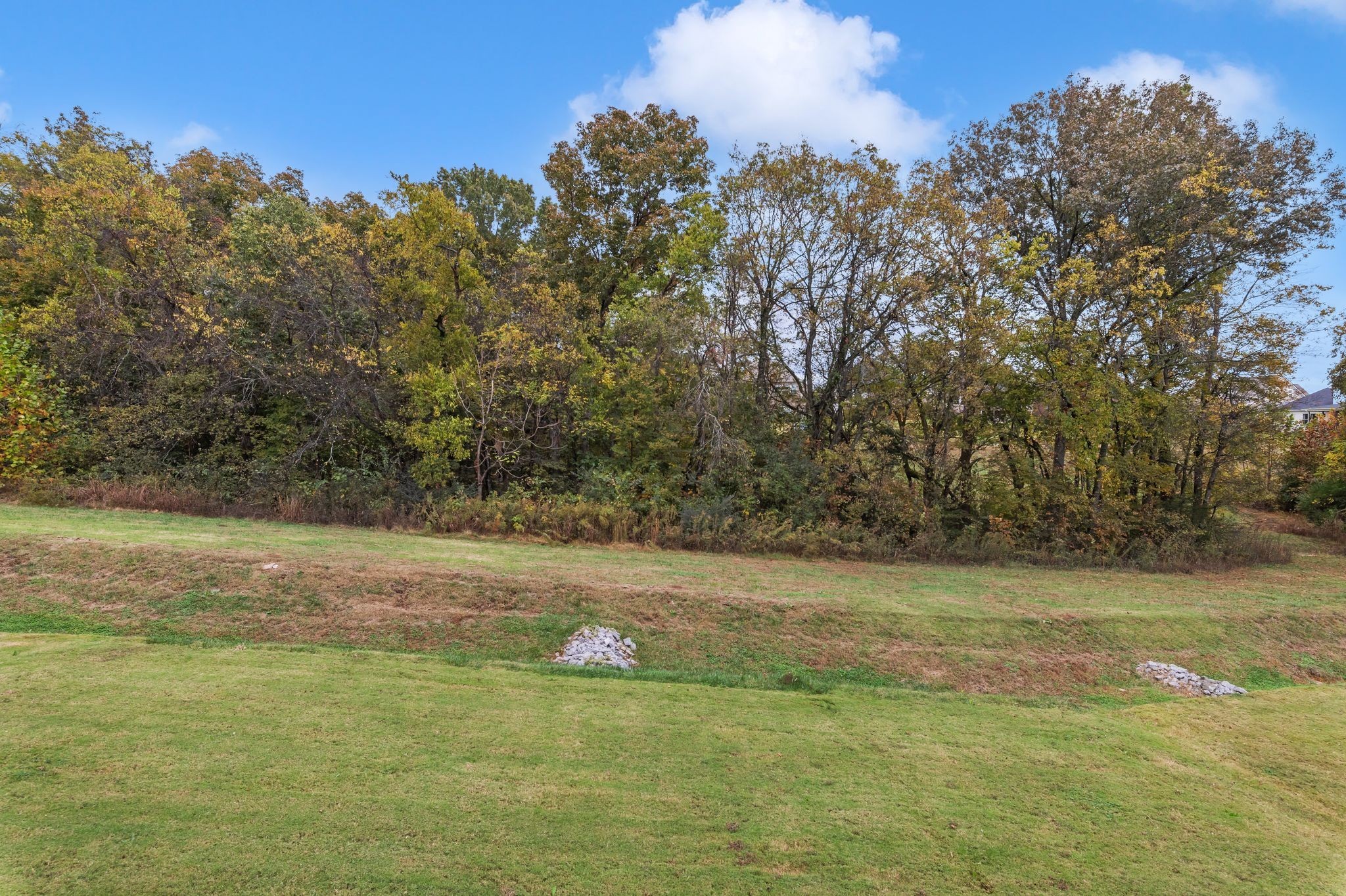 816 Novalis Street Nolensville TN 37135