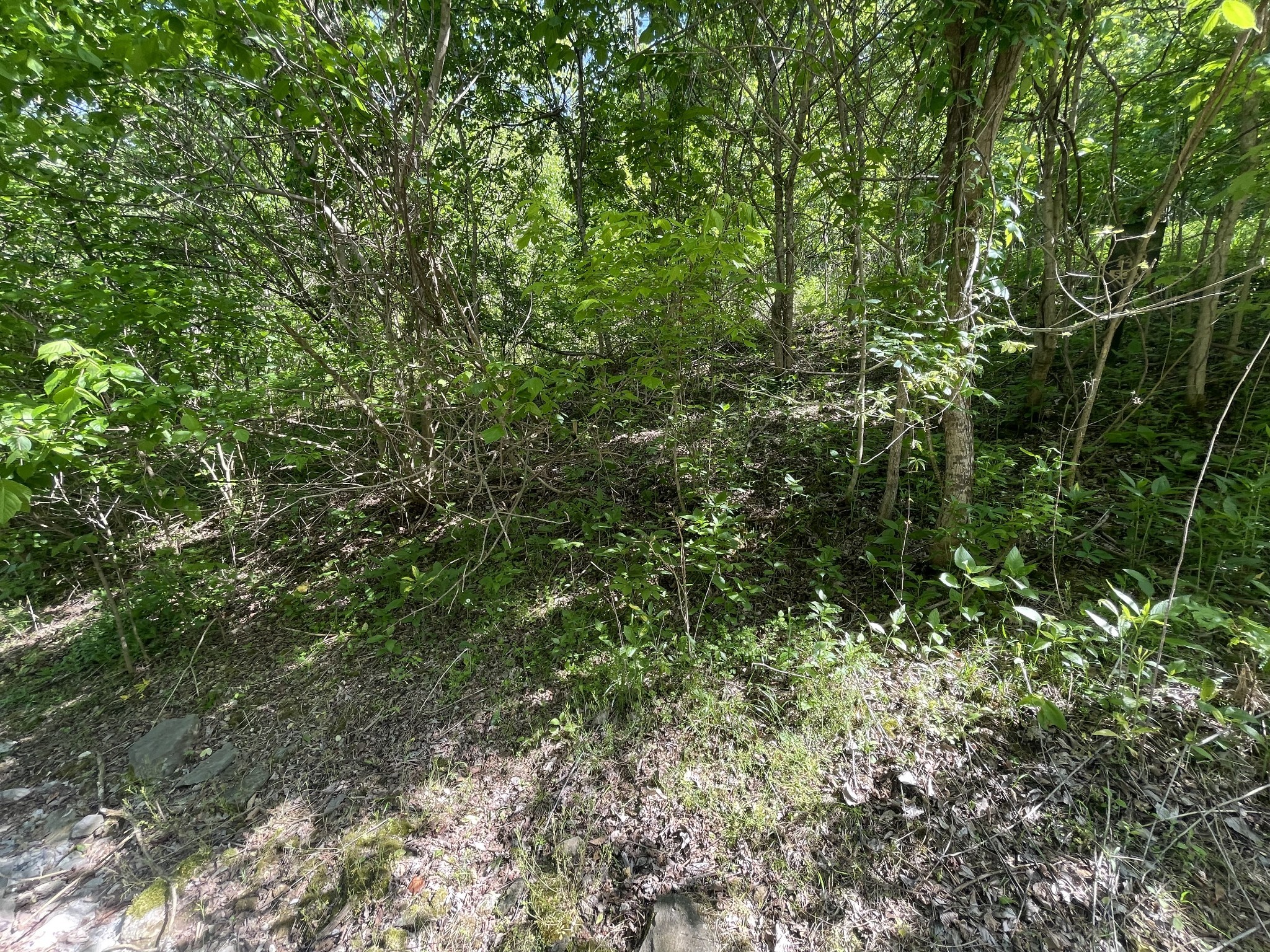 0 Rutherford Lane Smithville TN 37166