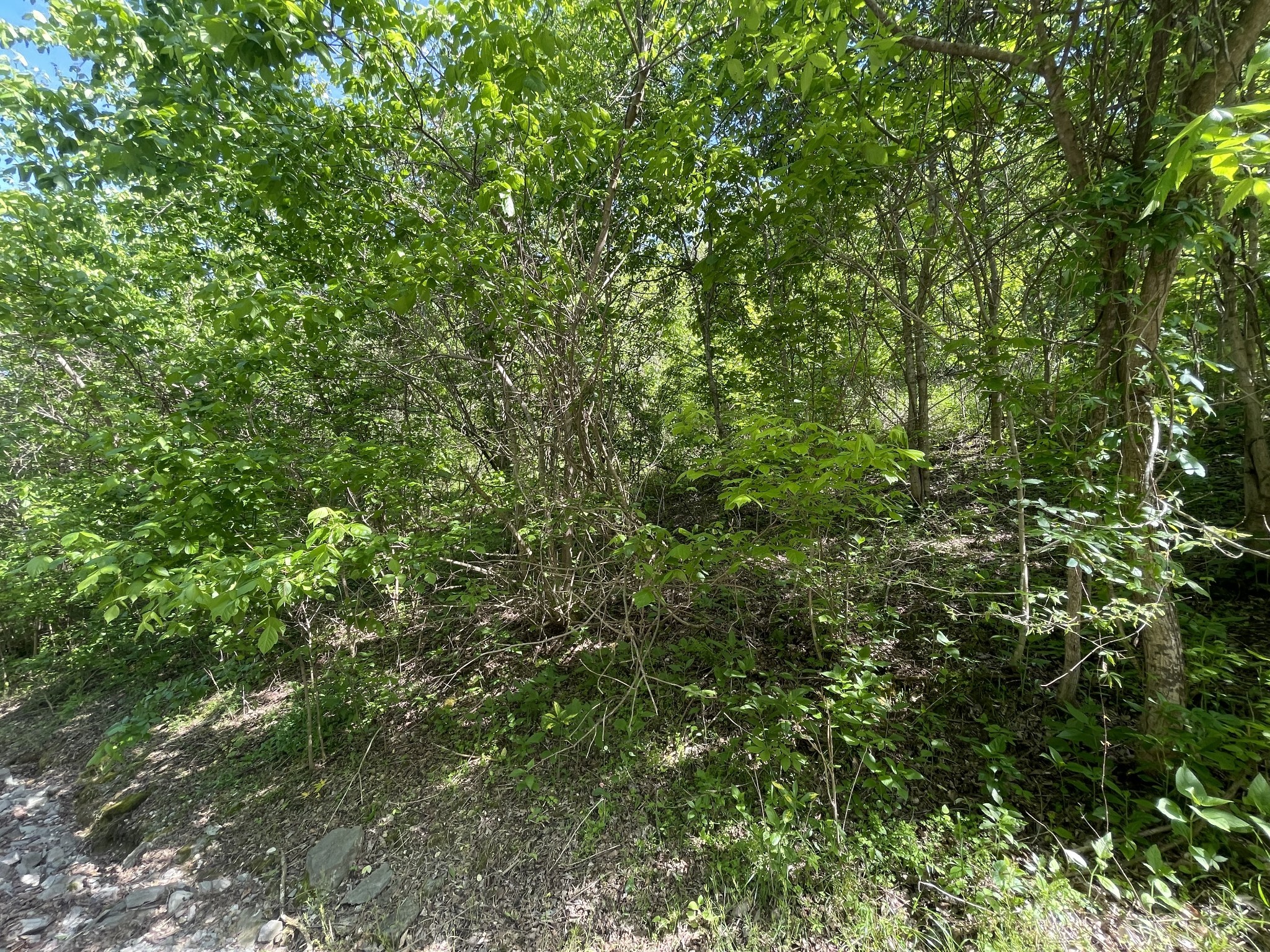 0 Rutherford Lane Smithville TN 37166