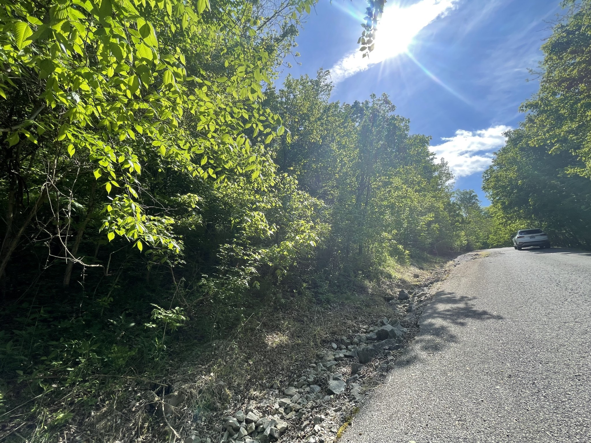 0 Rutherford Lane Smithville TN 37166