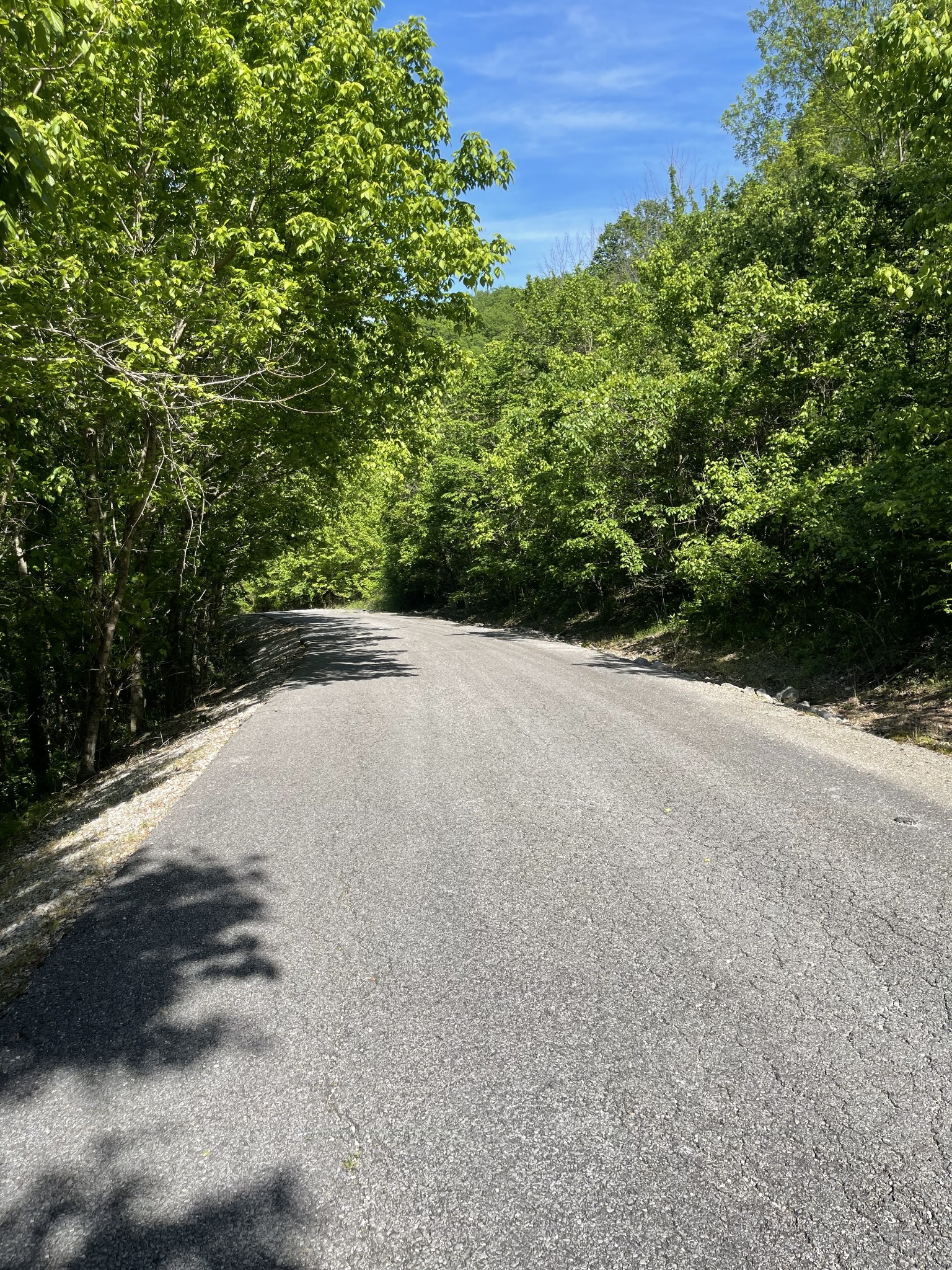 0 Rutherford Lane Smithville TN 37166