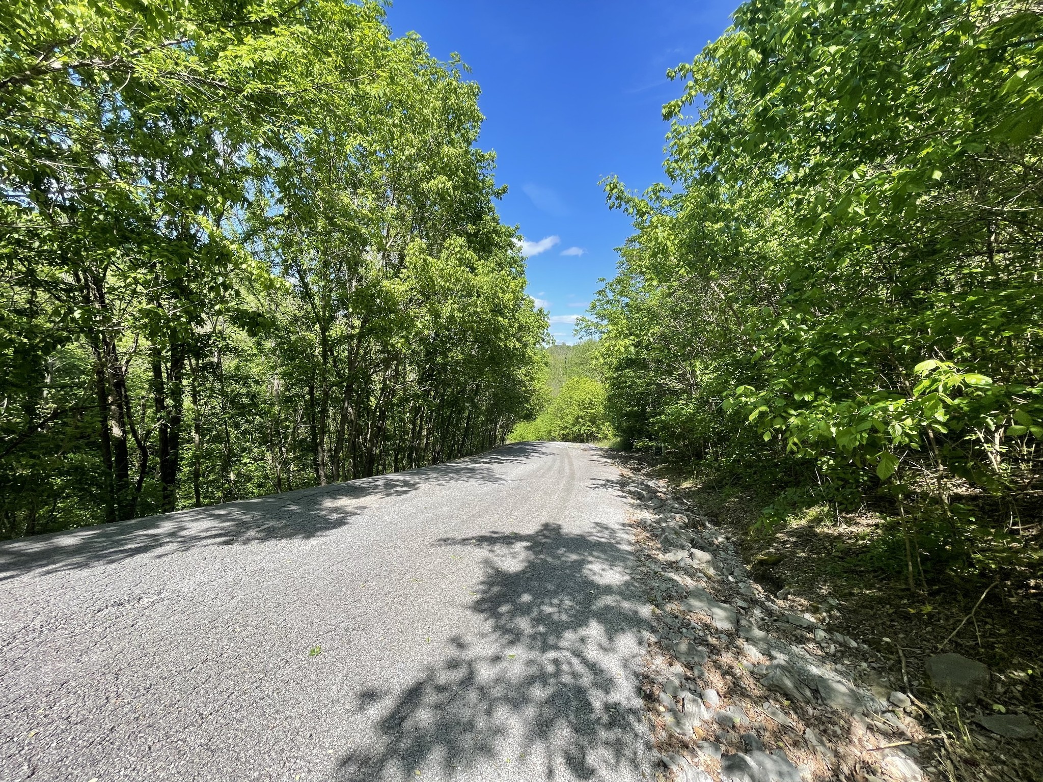 0 Rutherford Lane Smithville TN 37166