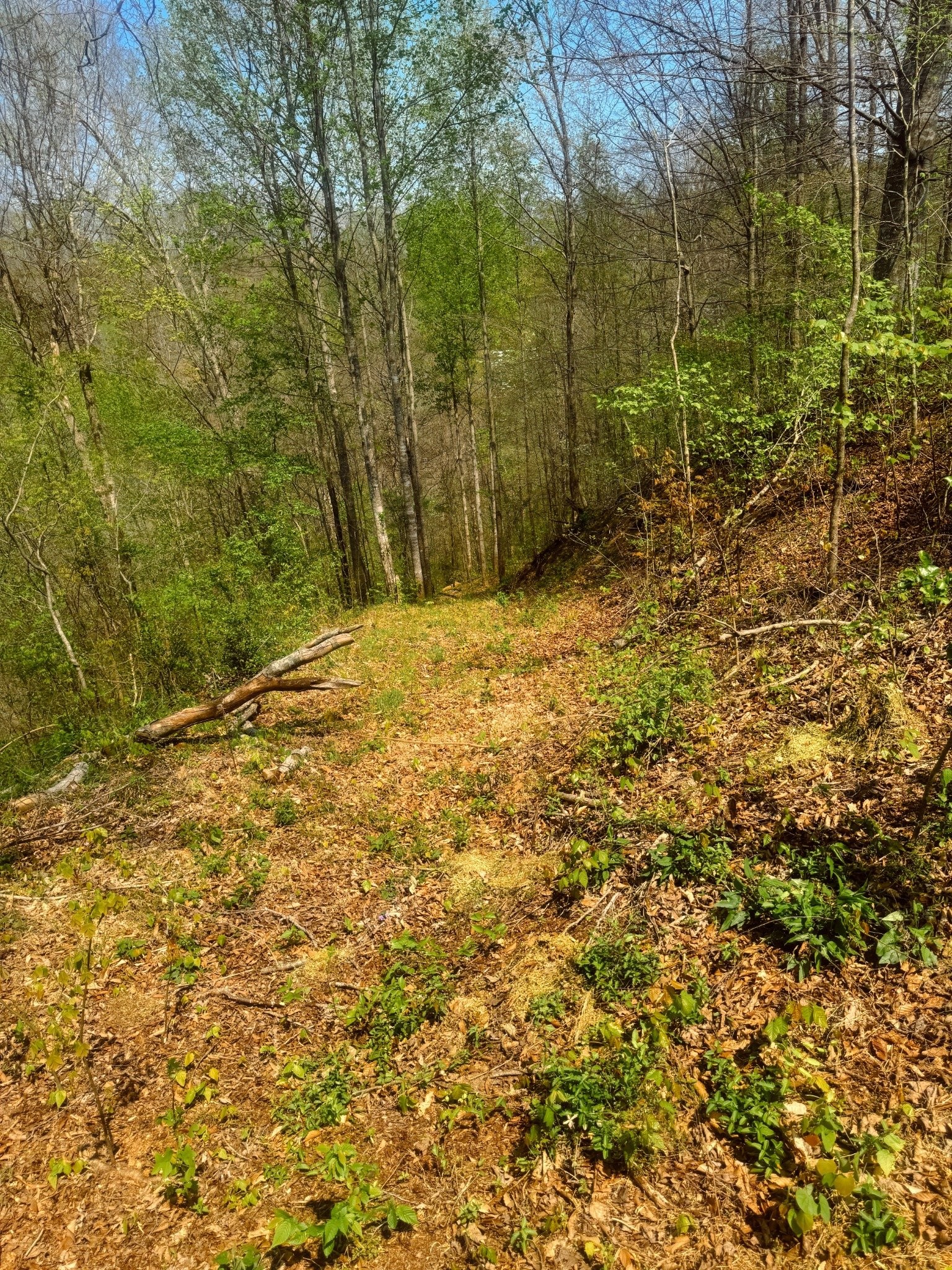 0 Holiday Haven Drive Smithville TN 37166