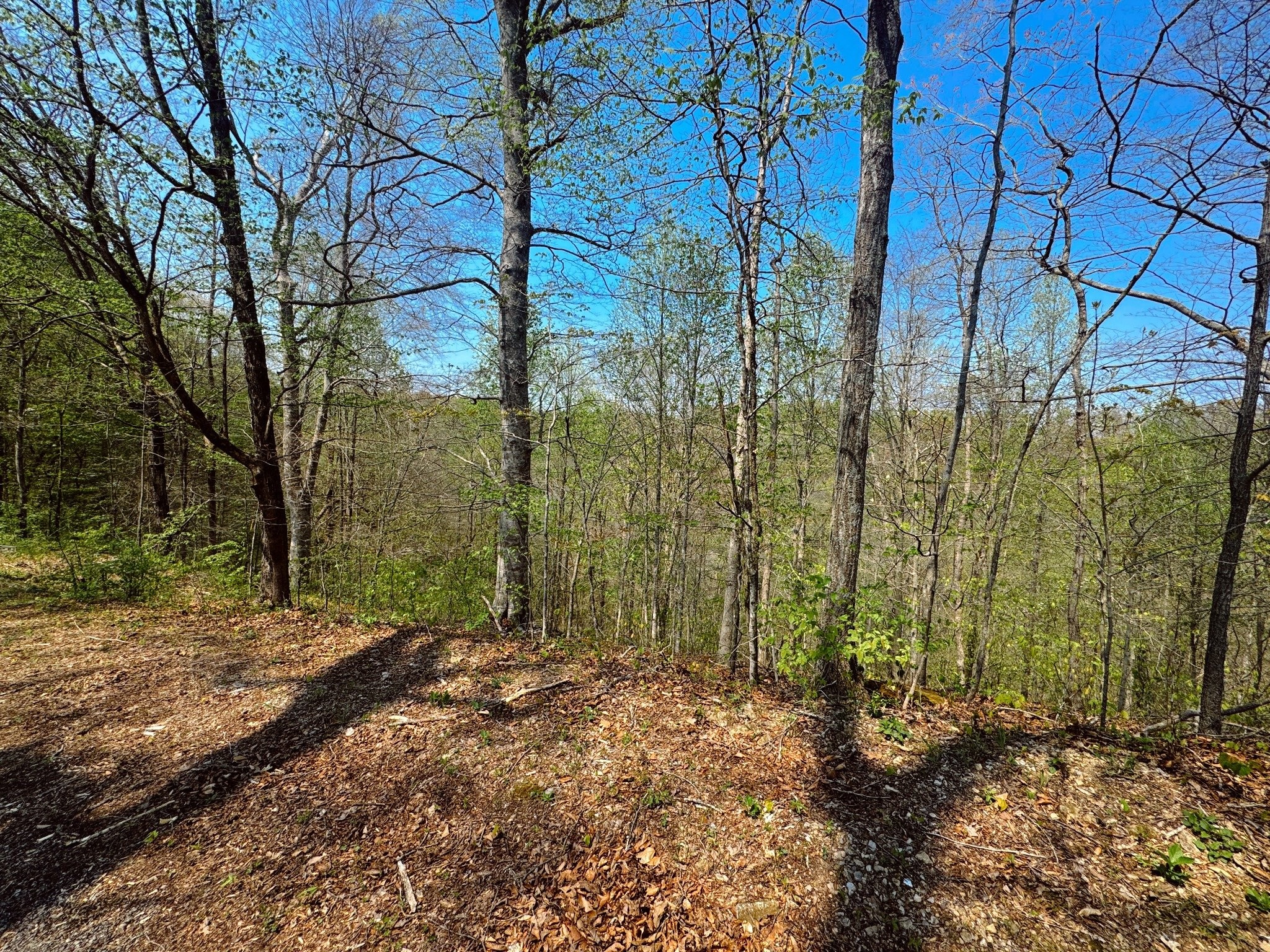 0 Holiday Haven Drive Smithville TN 37166