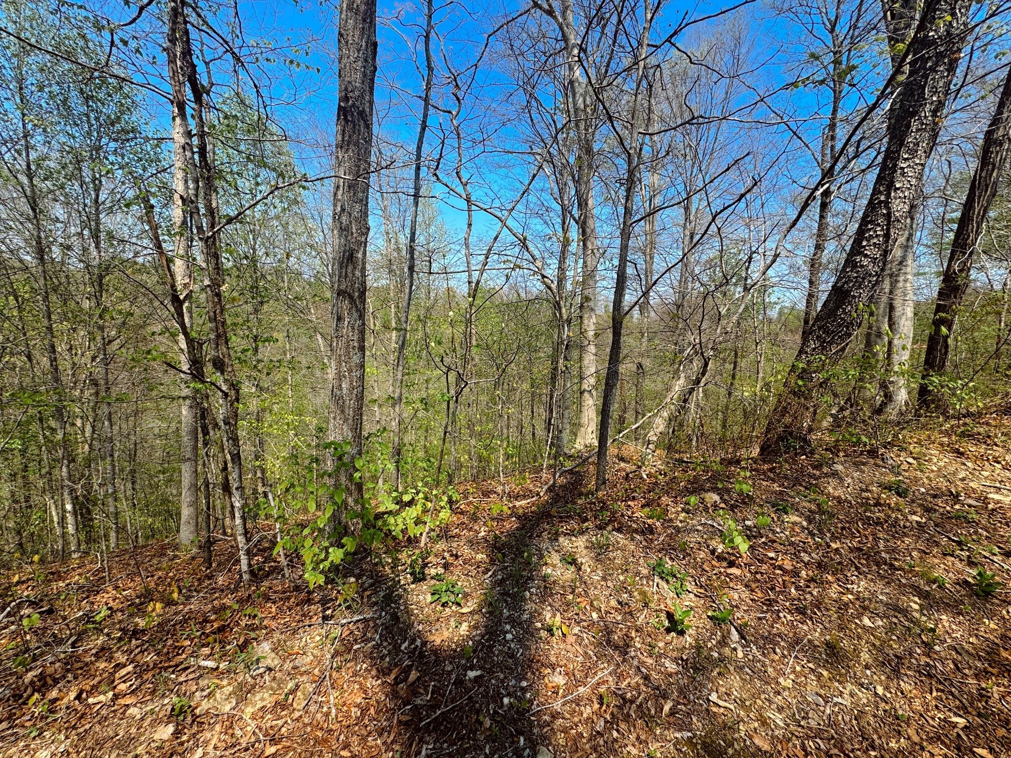 0 Holiday Haven Drive Smithville TN 37166