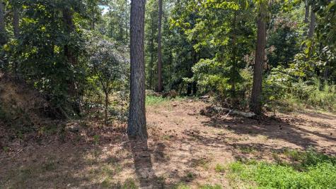 0 Carter Hollow Road Linden TN 37096