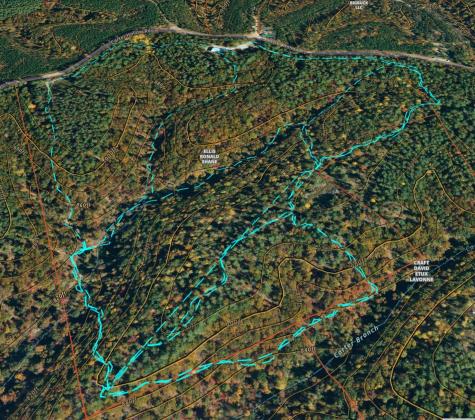 0 Carter Hollow Road Linden TN 37096