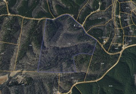 0 Carter Hollow Road Linden TN 37096
