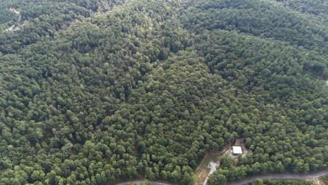 0 Carter Hollow Road Linden TN 37096