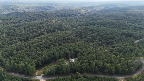 0 Carter Hollow Road Linden TN 37096