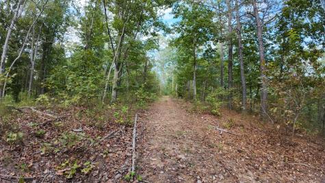 0 Carter Hollow Road Linden TN 37096