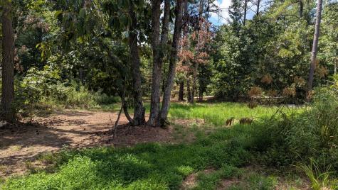 0 Carter Hollow Road Linden TN 37096