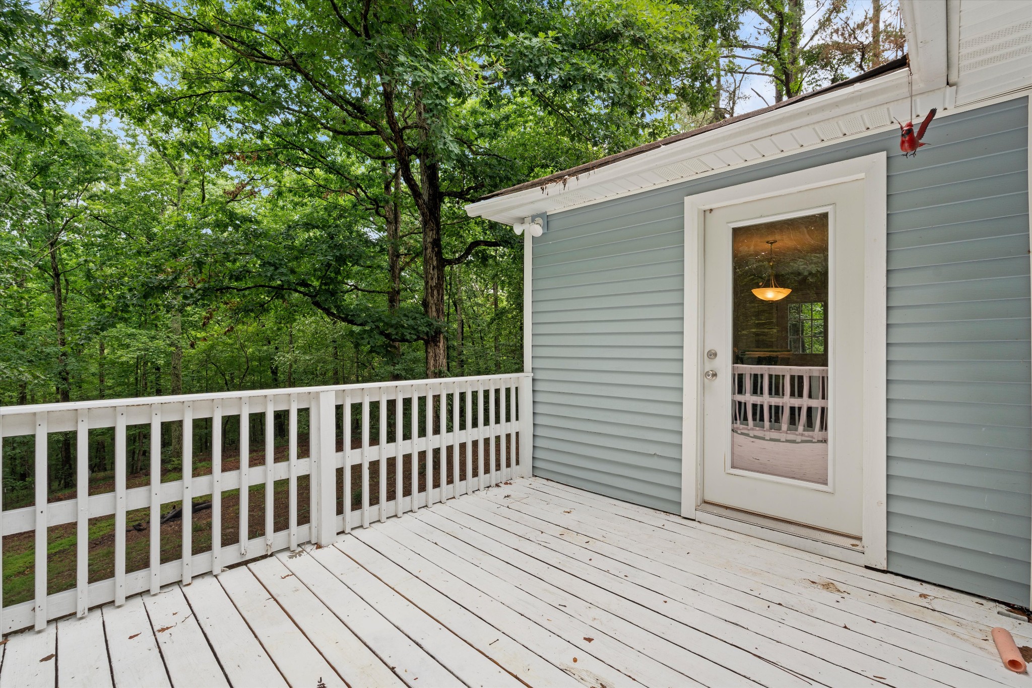 1101 Valley View Road Ashland City TN 37015