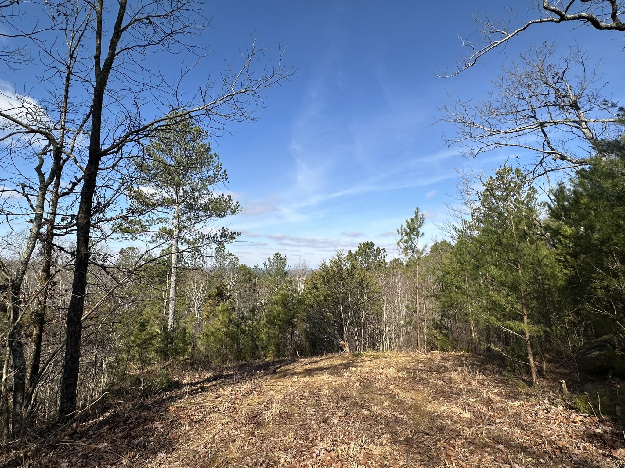 125 Fox Trail Drive Old Fort TN 37362