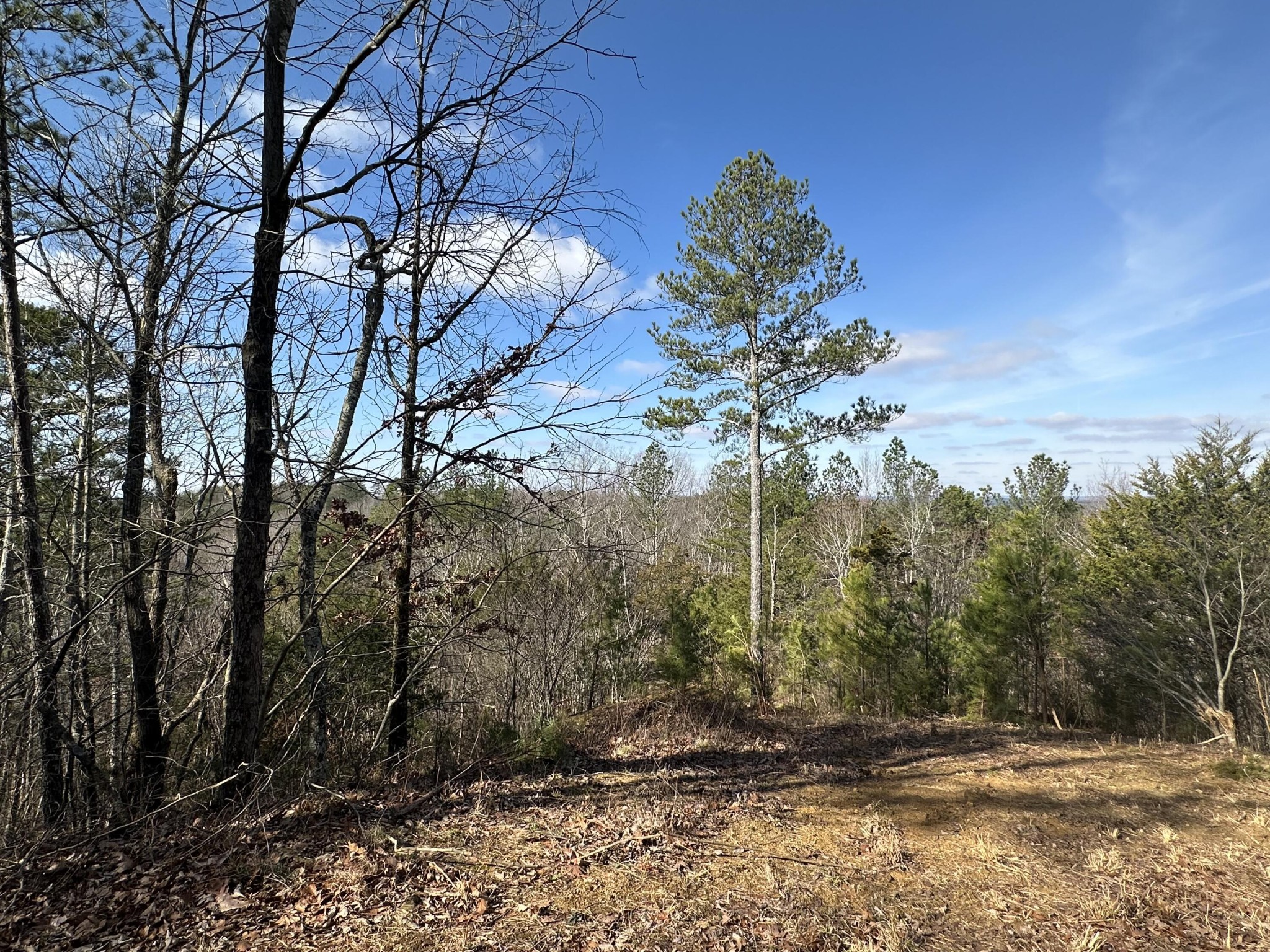 125 Fox Trail Drive Old Fort TN 37362