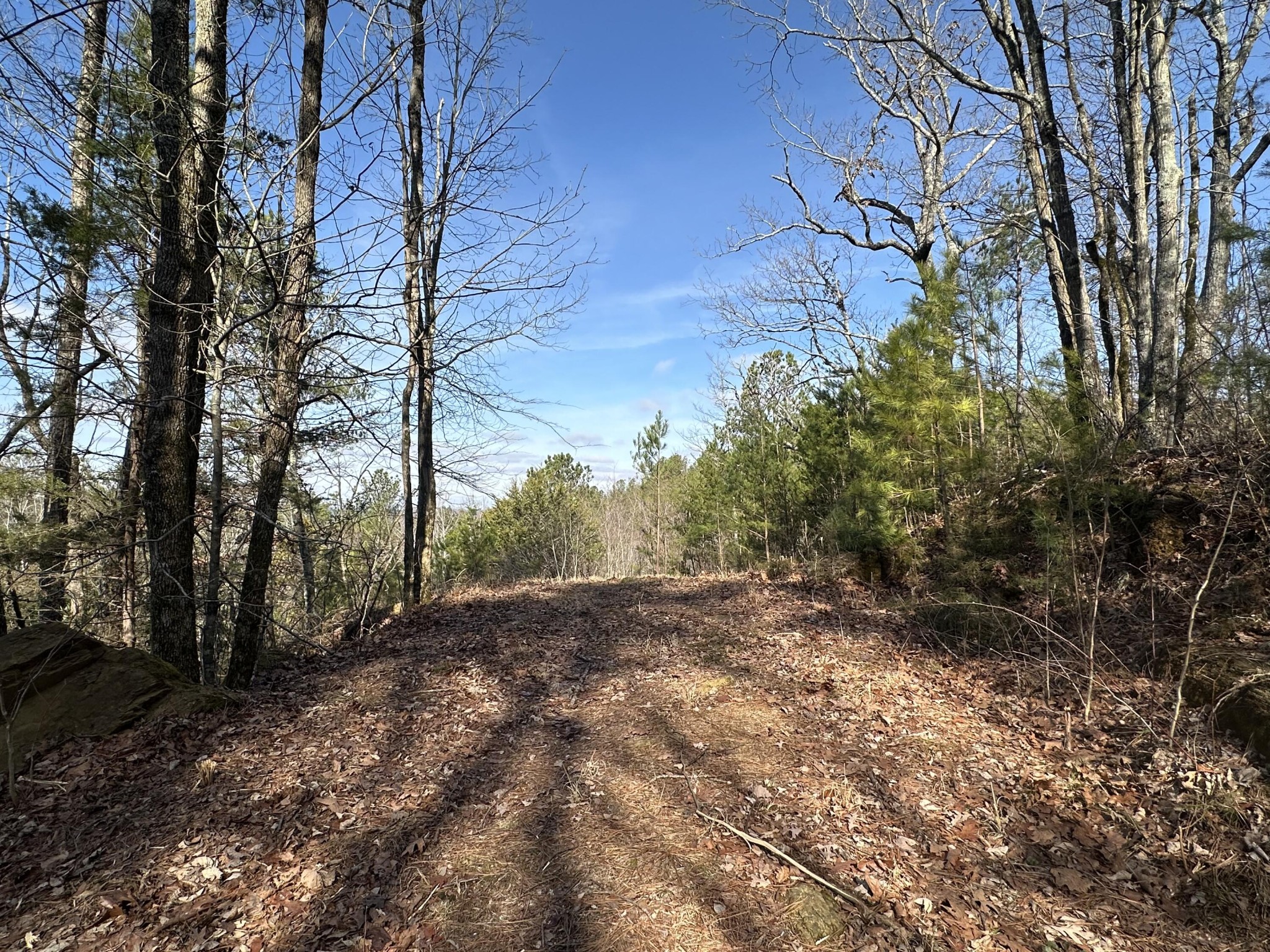 125 Fox Trail Drive Old Fort TN 37362