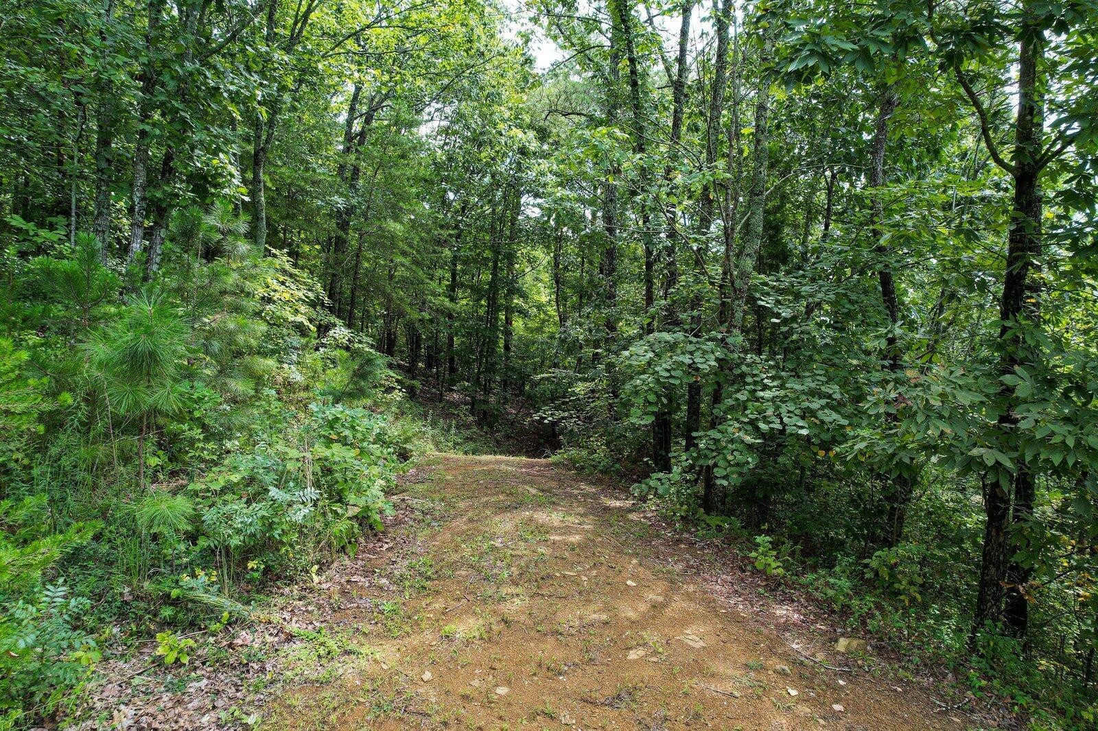 125 Fox Trail Drive Old Fort TN 37362