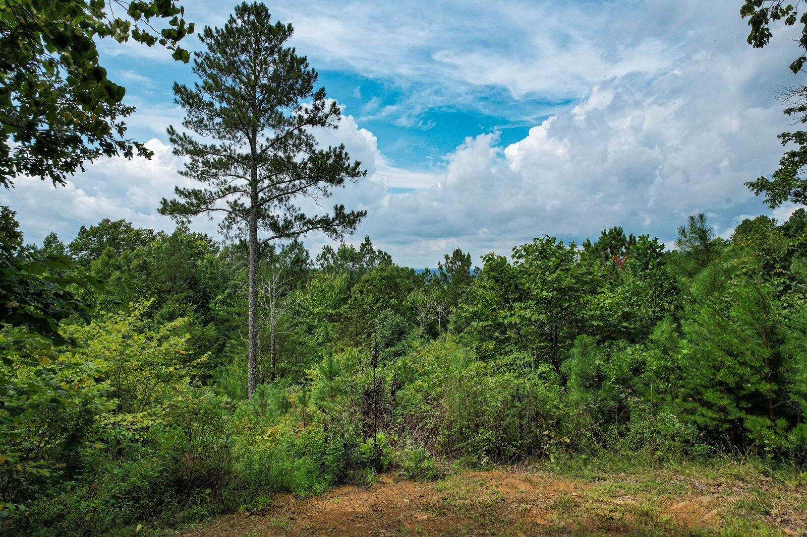 125 Fox Trail Drive Old Fort TN 37362