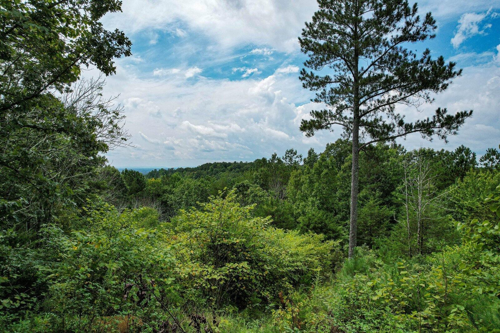125 Fox Trail Drive Old Fort TN 37362